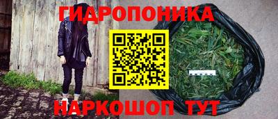 кокс Краснодар