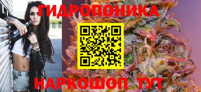 кокс Краснодар