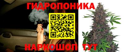 a pvp Краснокаменск