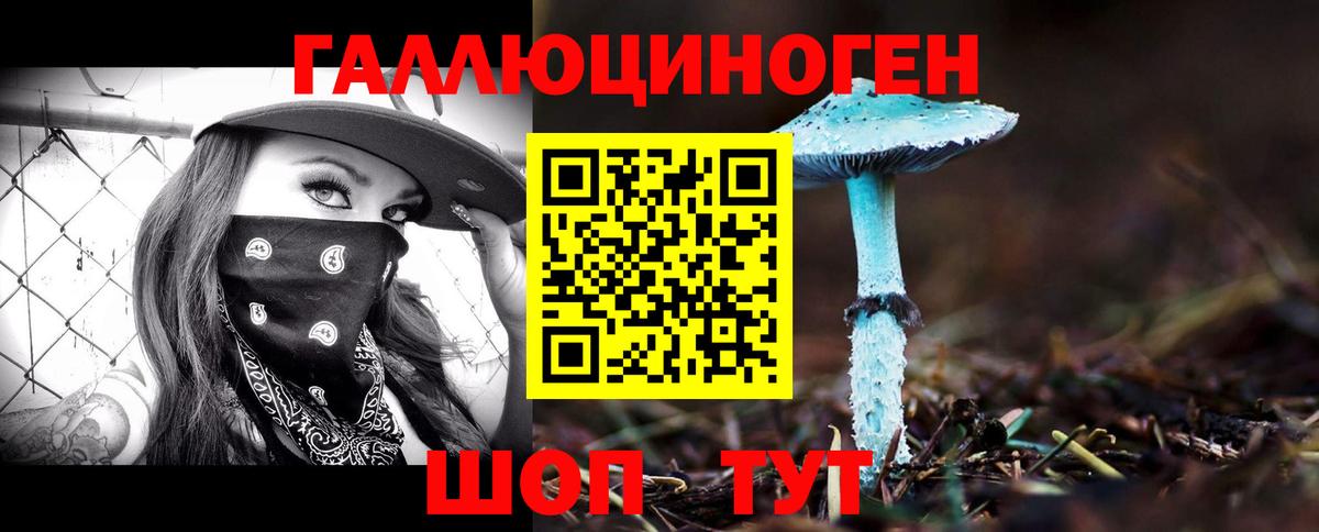 Карачаевск  Галлюциногенные грибы мицелий  Галлюциногенные грибы ЛСД  Вход с VPN 