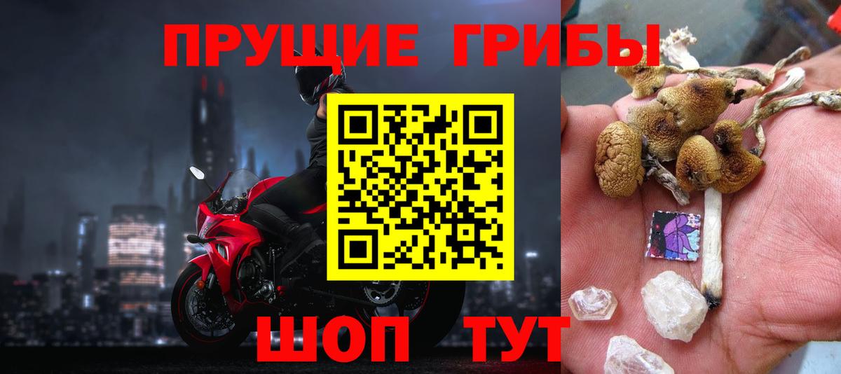 Псилоцибиновые грибы Magic Shrooms Карачаевск